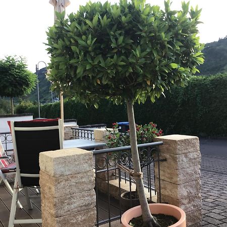 Ferienwohnung Wagner 4 Sterne Neef Εξωτερικό φωτογραφία